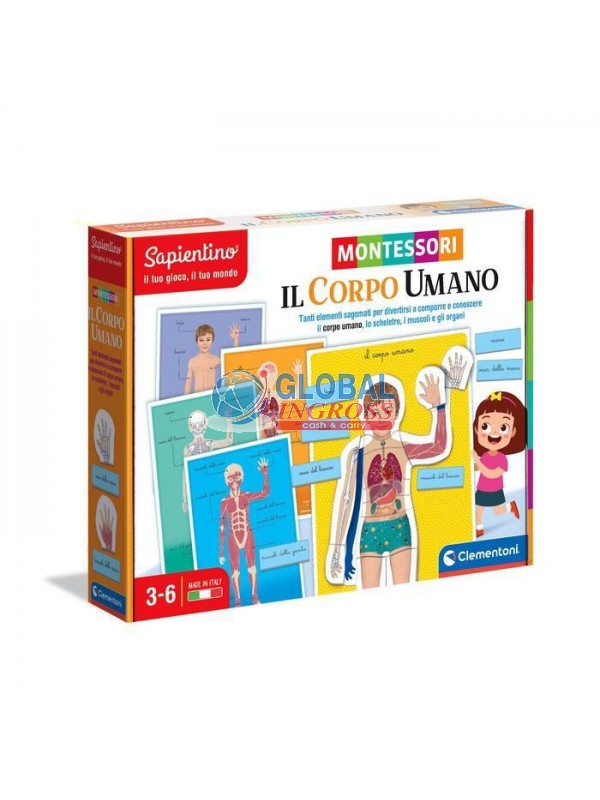 MONTESSORI - CORPO UMANO