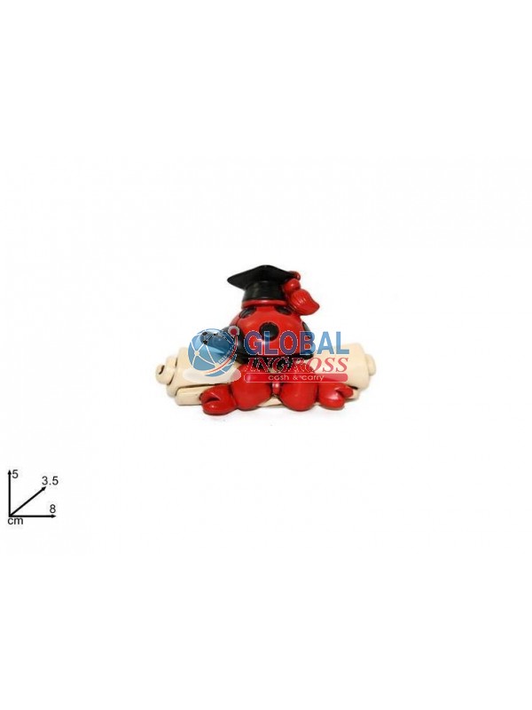 PERGAMENA LAUREA C/CAPPELLO E COCCINELLA