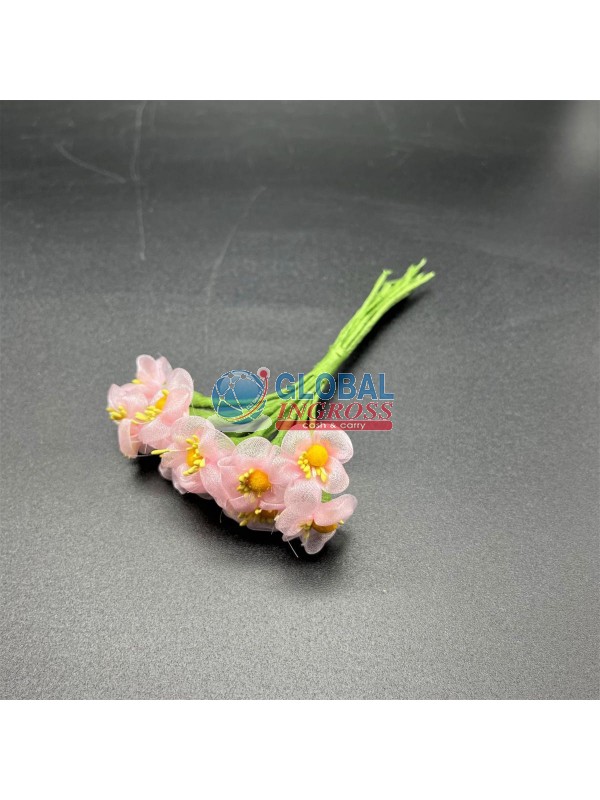 MAZZOLINO 10 MARGHERITEROSA ORGANZ