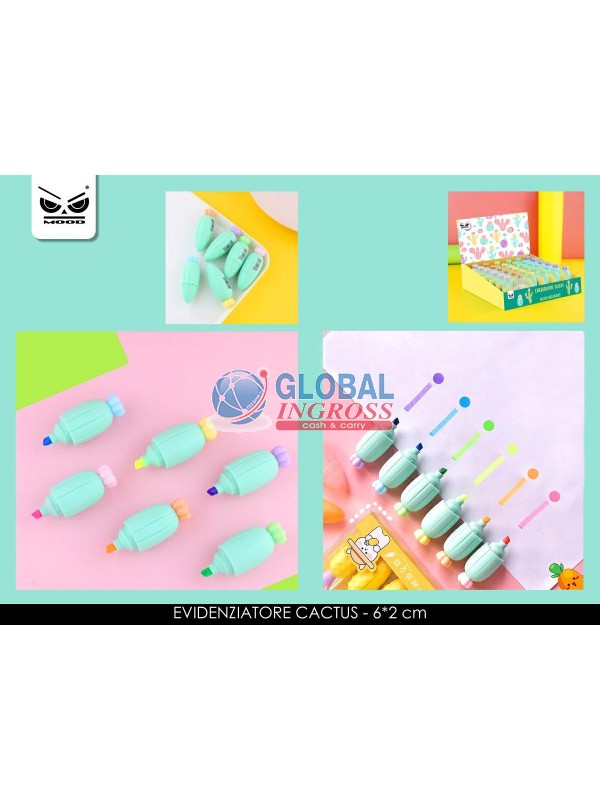 EVIDENZIATORE CACTUS ass.