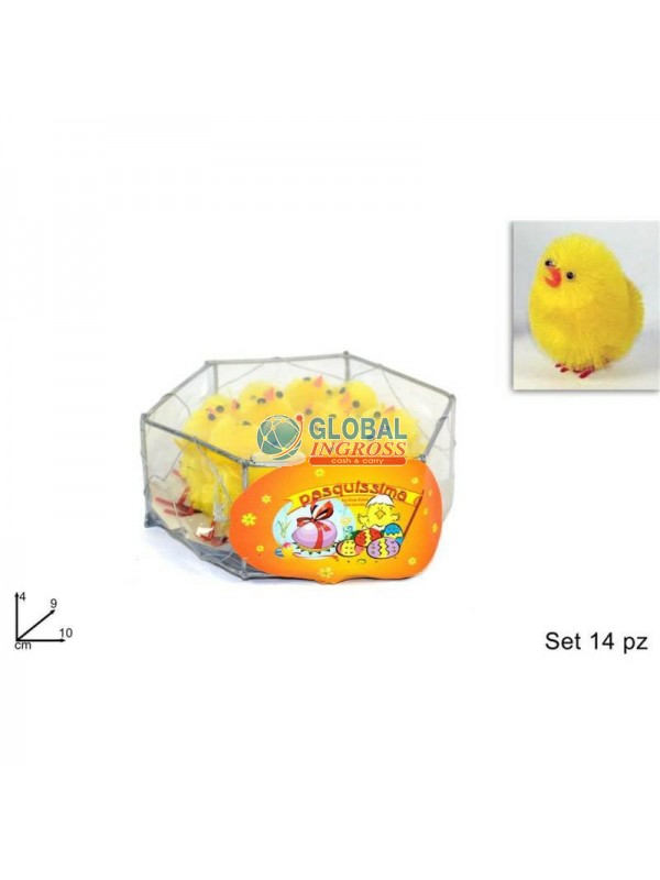 GABBIETTA 14 PULCINI