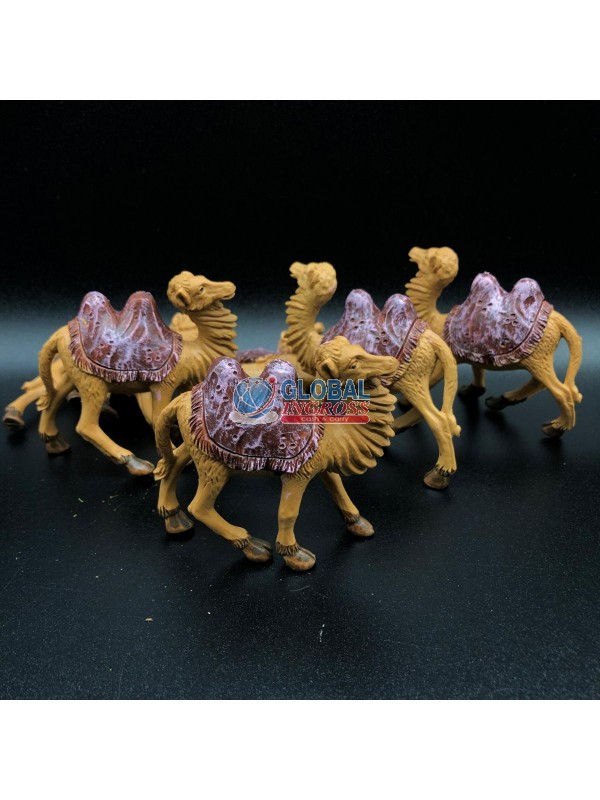 CAMMELLI BUSTA 6 PZ IIImis.