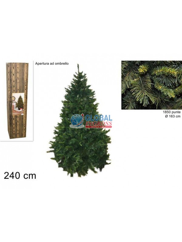 PINO LOS ANGELES 240cm