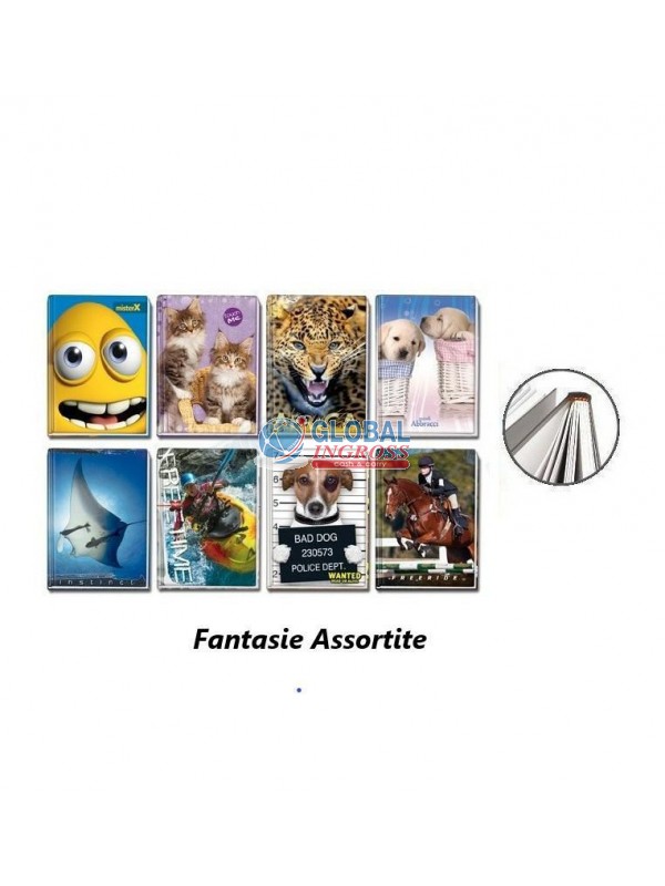 MAXI CARTONATO A.74FG.