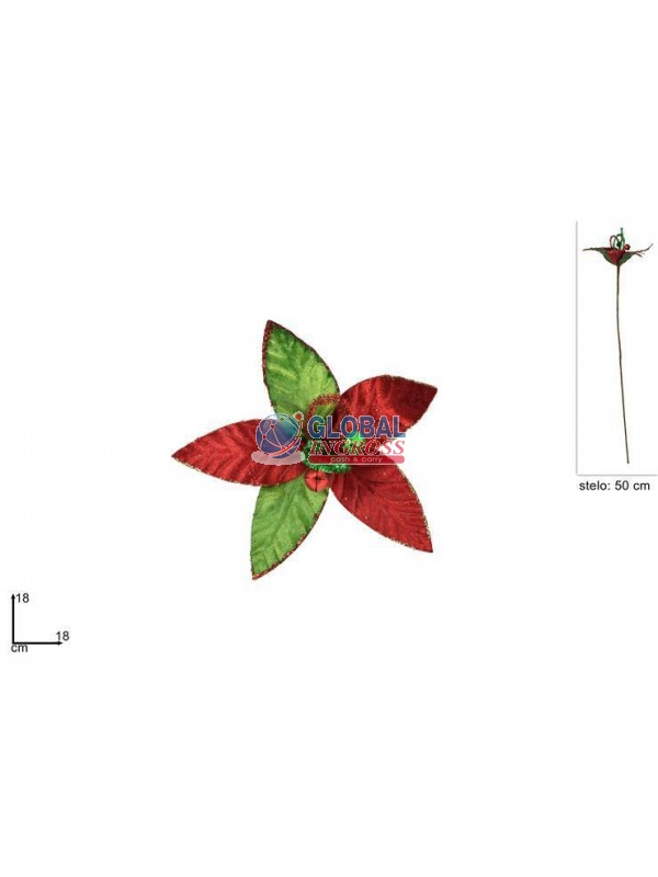 FIORE GIULLARE C/CAMPANELLI LUNGO