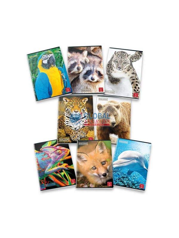 QUADERNO PIGNA B 42ff A5