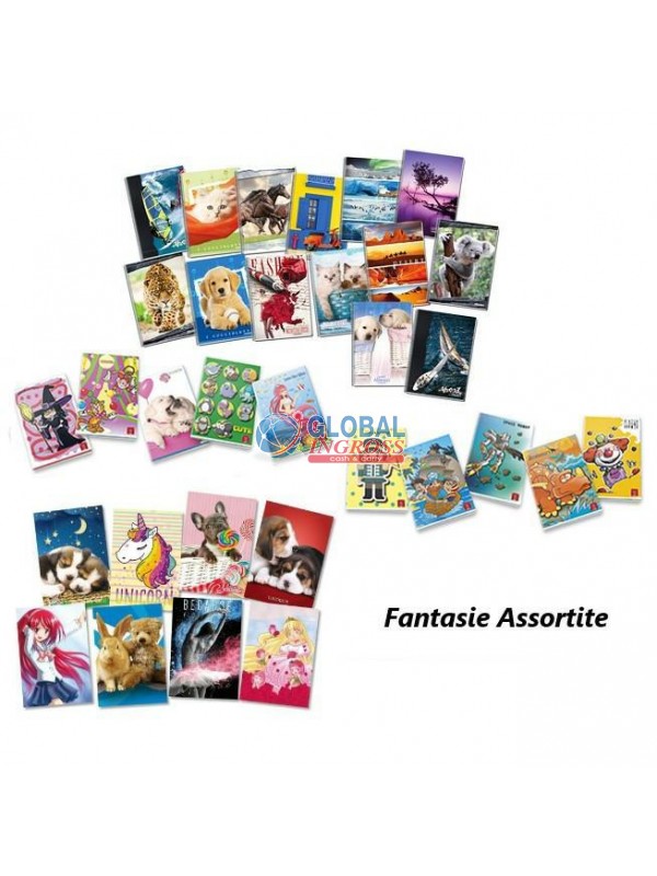 MAXI PIGNA 42ff B fantasia