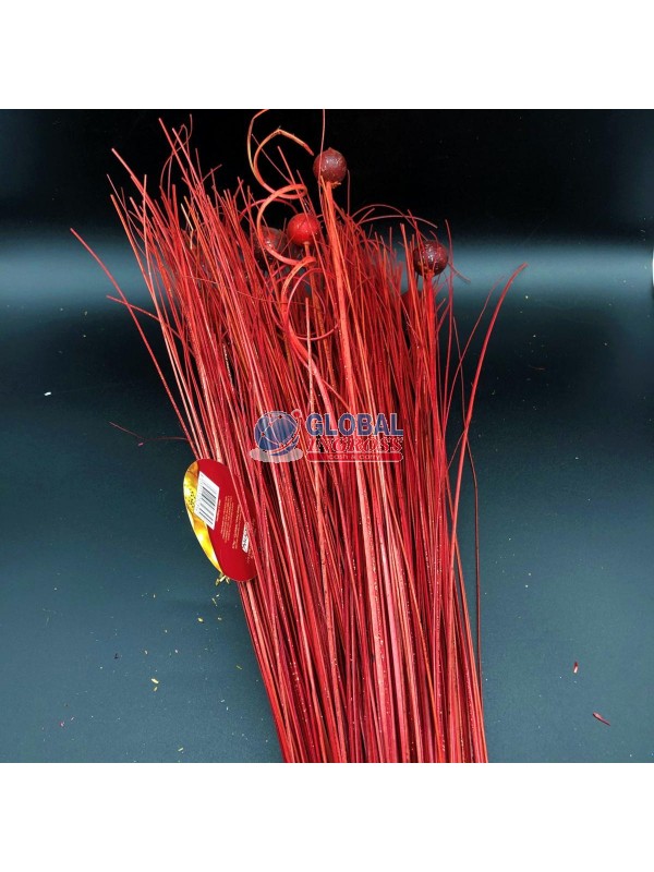 FASCINA STELI GLITTERATI