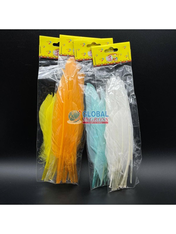 BUSTA 12 PIUME COLORI ASS.