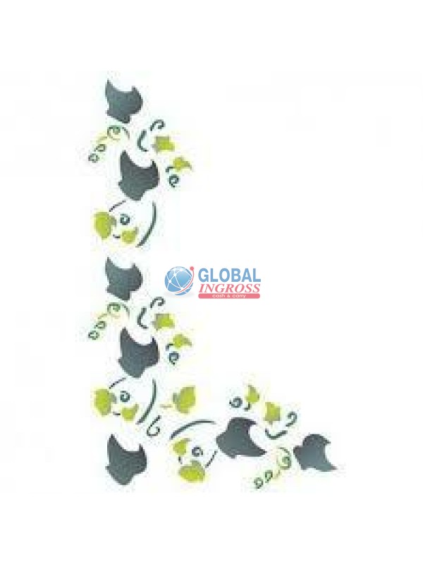 STENCIL A4 EDERA ANGOLARE