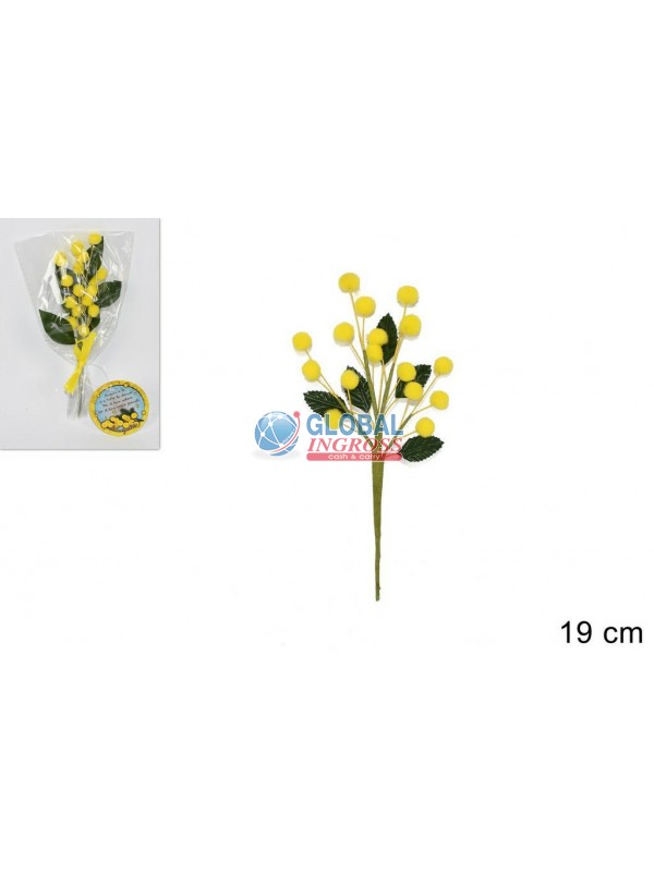 MIMOSA RAMO 19cm