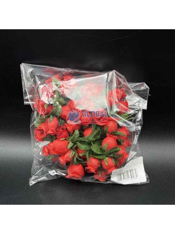 ROSELLINE ROSSE CH. MIS.11