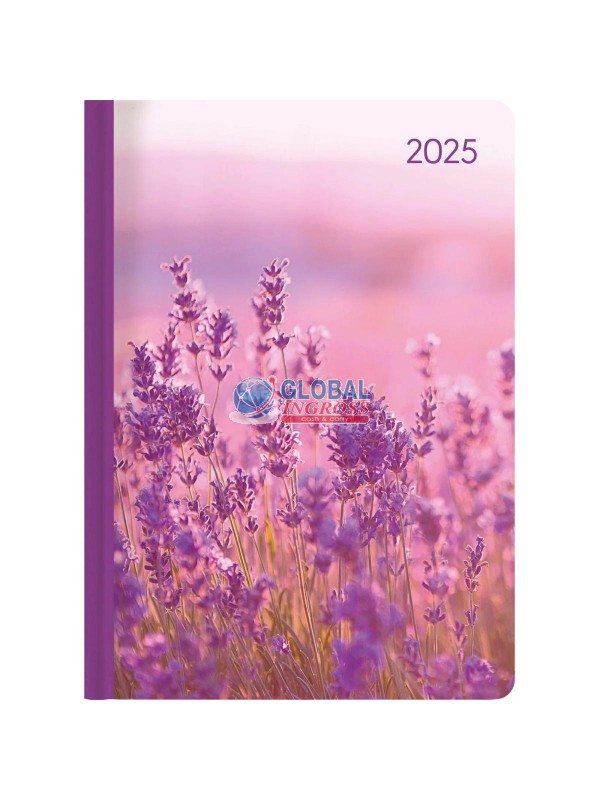 AGENDA 2025 LADYT. WEEKLAVENDER
