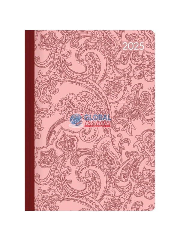 AGENDA 2025 STYLE DAILYPAISLEY