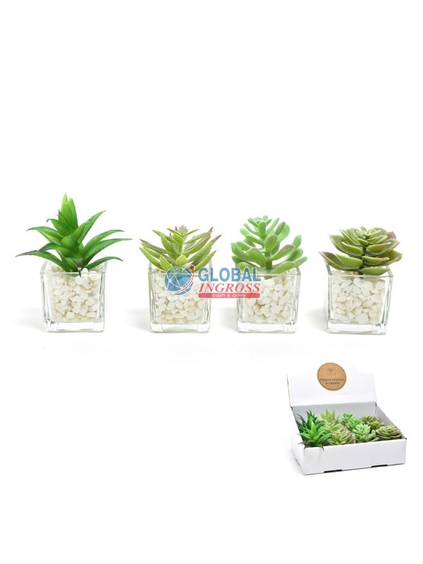 PIANTINA VASETTO VETRO 9x6x6 ASS.