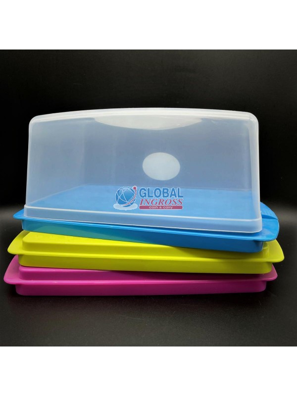 VASSOIO C/COPERCHIO 29x18