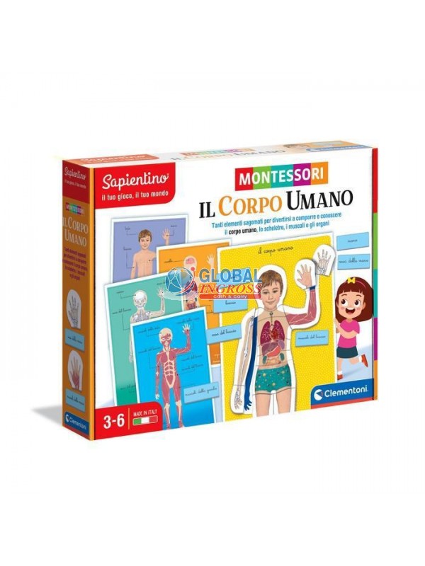 MONTESSORI - CORPO UMANO