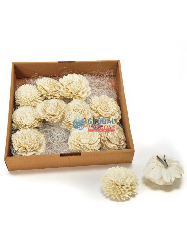 FIORE NATURALE 10cm C/PINZA