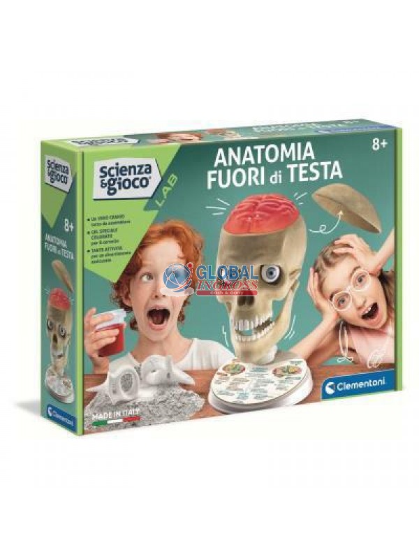ANATOMIA FUORI DI TESTA.