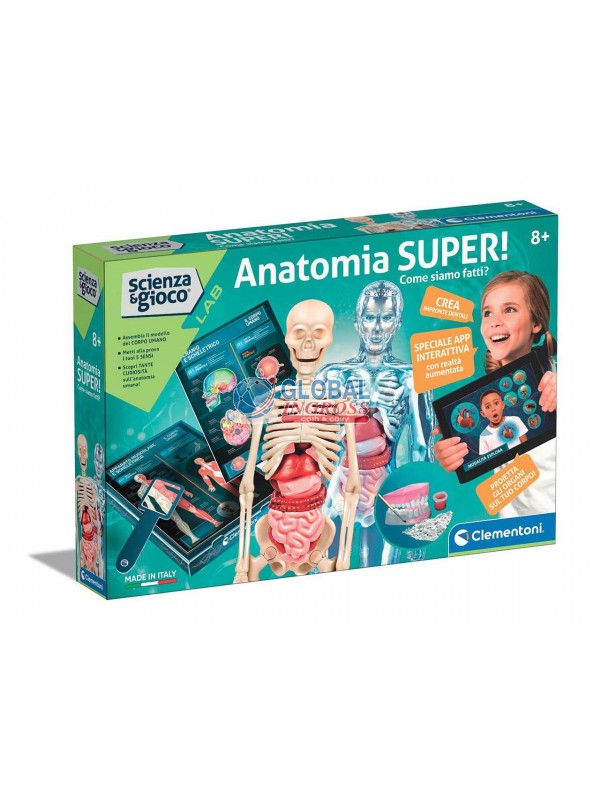 ANATOMIA SUPER