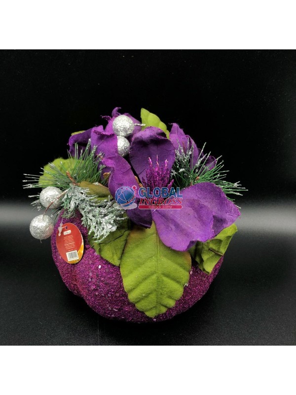 PIANTINA ZUCCA VIOLA