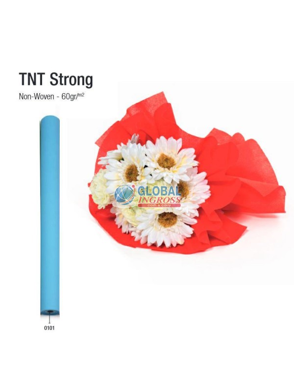 ROTOLO TNT STRONG CELESTE 80cm x20mt col.0101