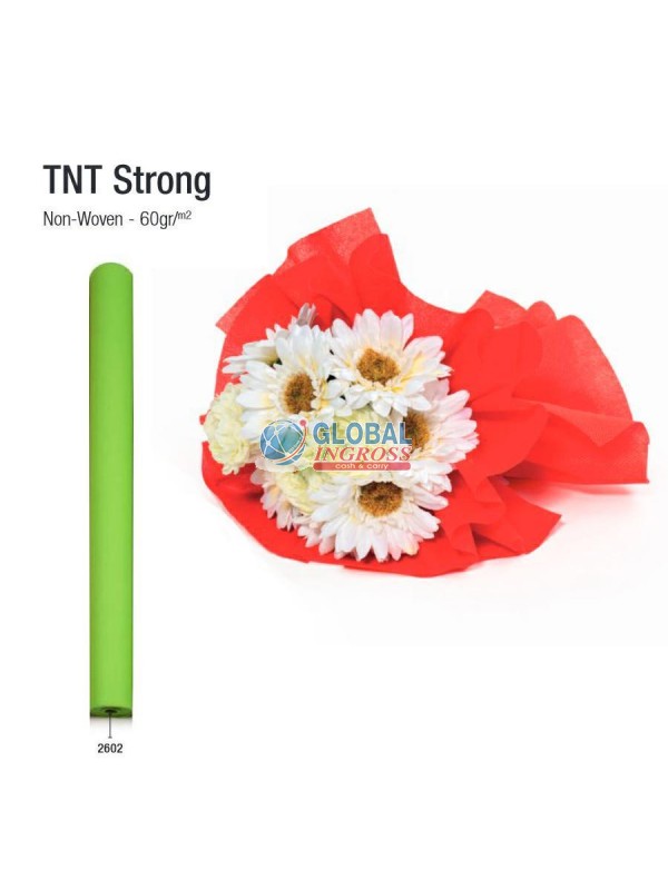ROTOLO TNT STRONG VERDECHIARO 80cm x20mt col.2602