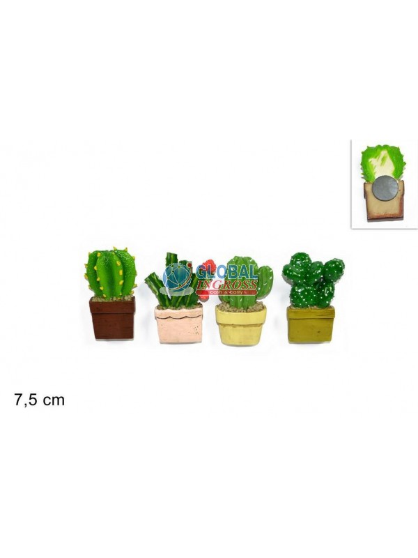 CALAMITA CACTUS