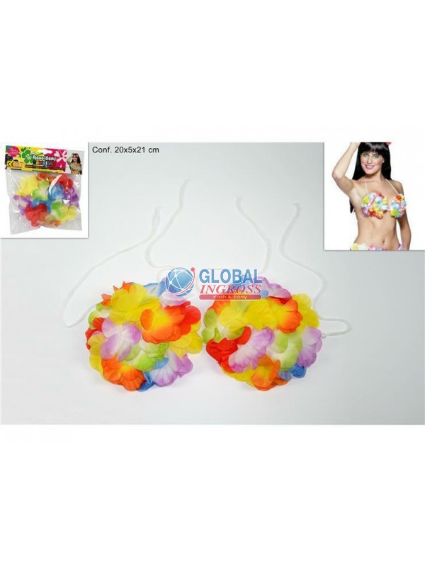 REGGISENO HAWAIANO