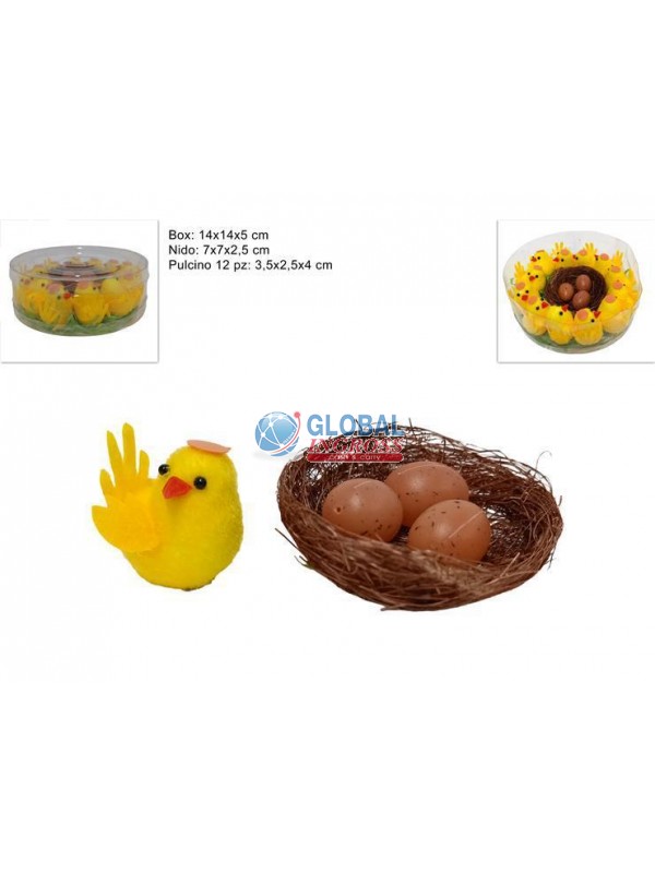 BOX 12 PULCINI CON NIDO