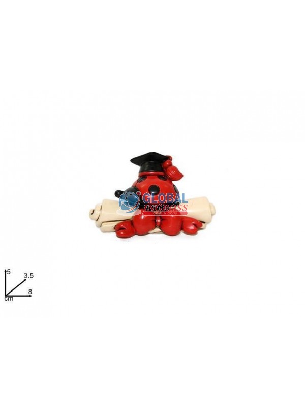 PERGAMENA LAUREA C/CAPPELLO E COCCINELLA