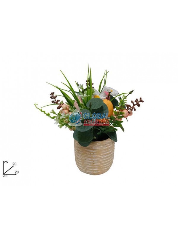 PIANTINA PASQUALE 25cm