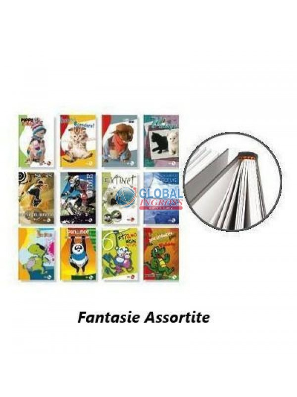 MAXI CARTONATO A 72ff