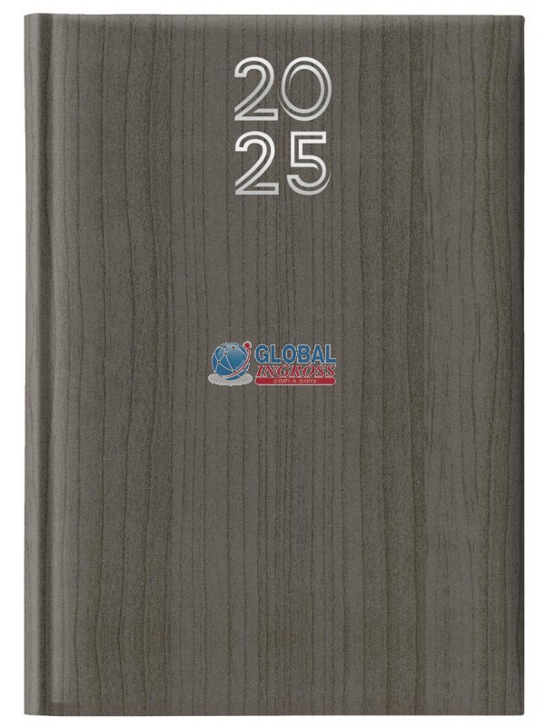 AGENDA 2025 A5 VERTIGO GRIGIO GIORNALIERA S/D