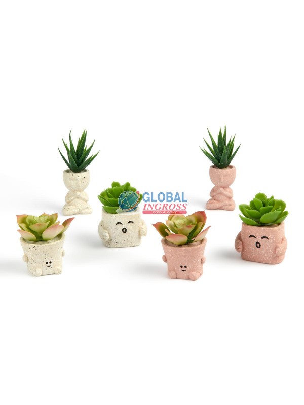 PIANTINA VASETTO PLASTICA E CEMENTO H.10cm ASS.