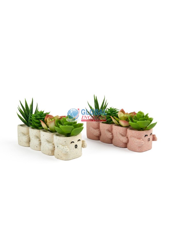 PIANTINA IN VASETTO CEMENTO HUG 15x6cm H.9cm ASS.