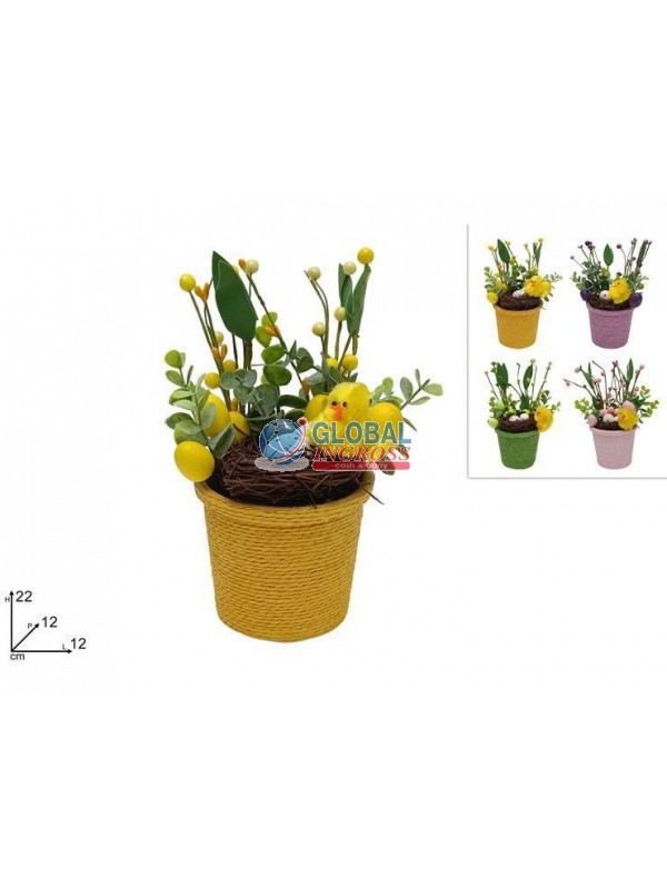 PIANTINA FIORI C/PULCINO C/NIDO COL.ASS.