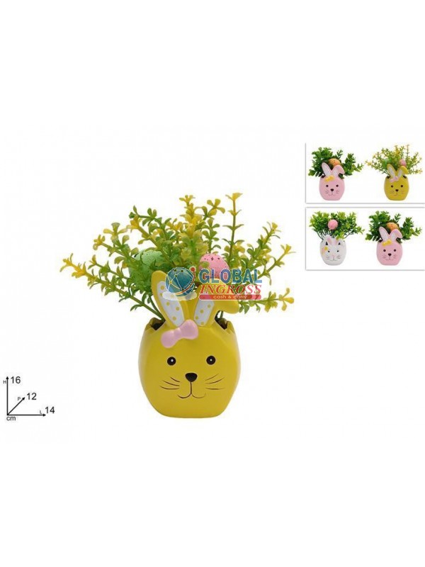 PIANTINA SOGGETTI PASQUALI COL.ASS.