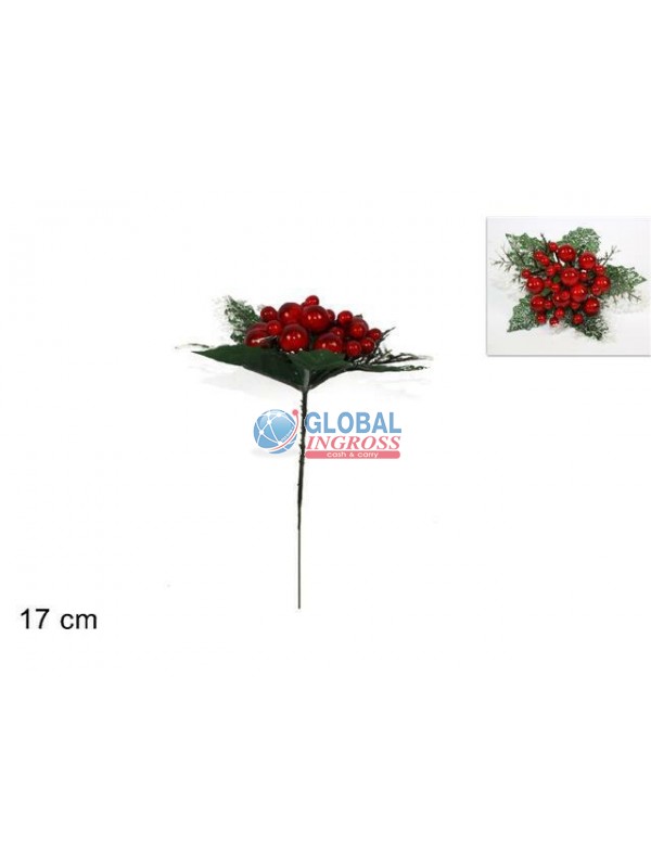 SPILLONE INNEVATO C/BACCHE