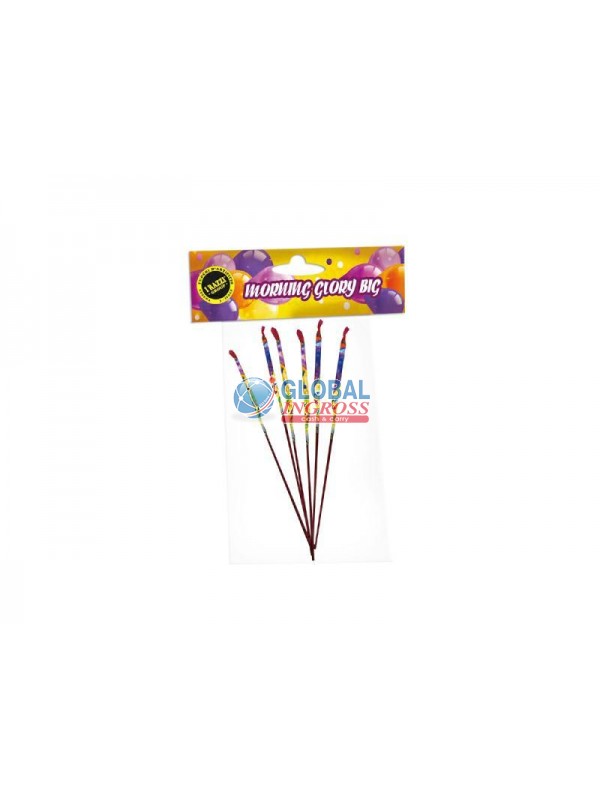 MORNING GLORY 12pz