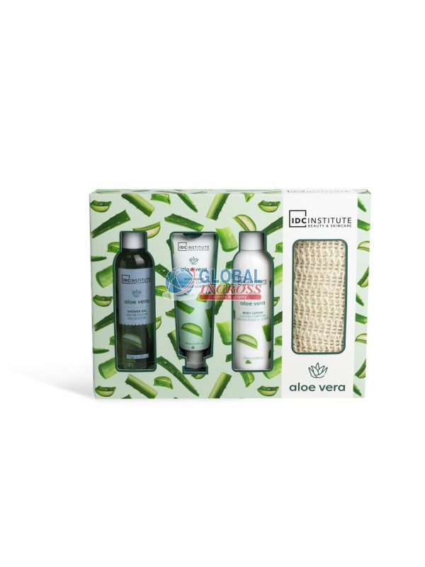 SET ALOE VERA 4pz