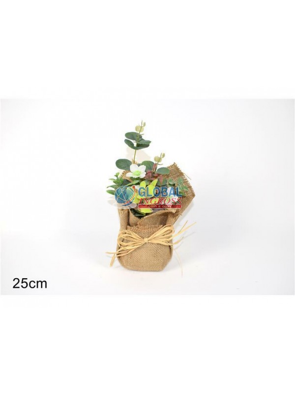 PIANTINA FIORI ED ERBE IN JUTA