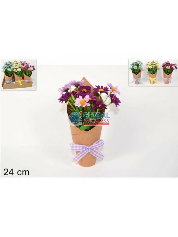 PIANTINA MARGHERITE C/CARTONCINO E FIOCCO