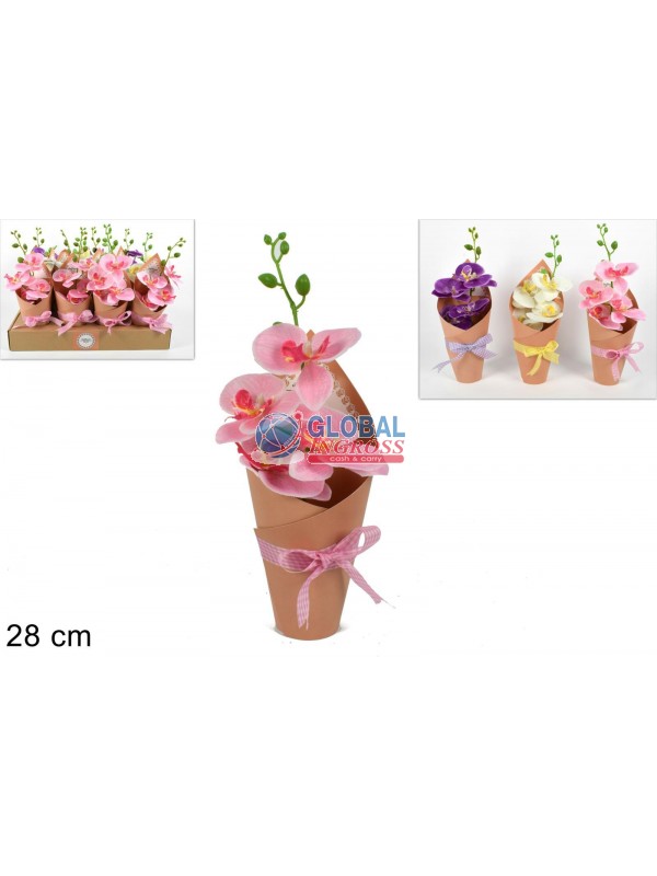 PIANTINA ORCHIDEA CON CARTONCINO