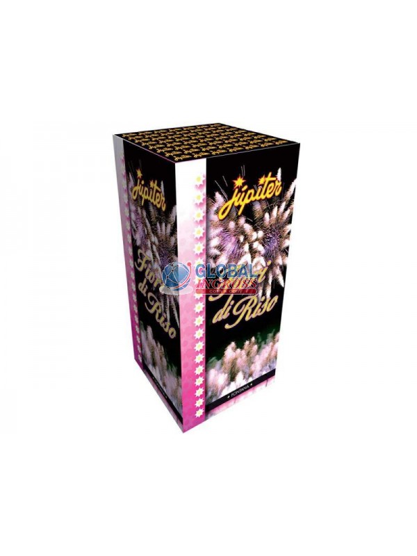 FONTANA FIORI DI RISO