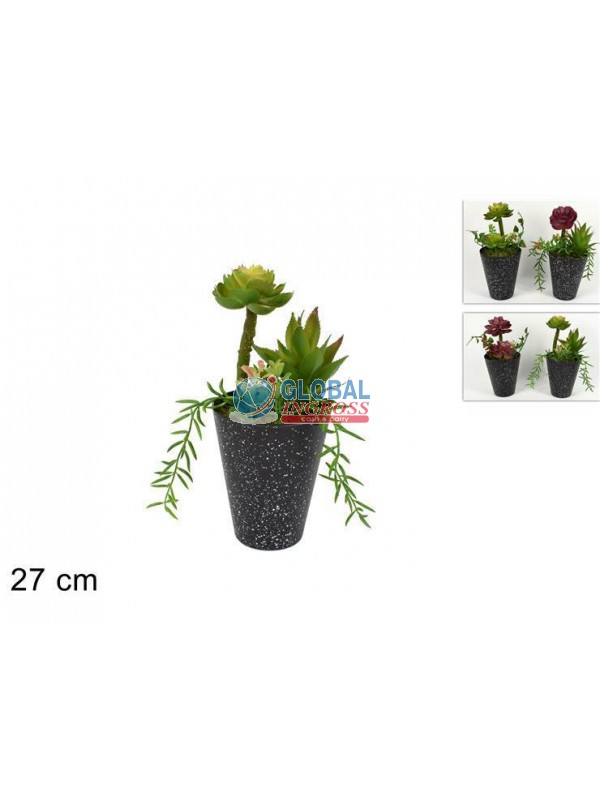 PIANTA GRASSA C/VASO 27cm