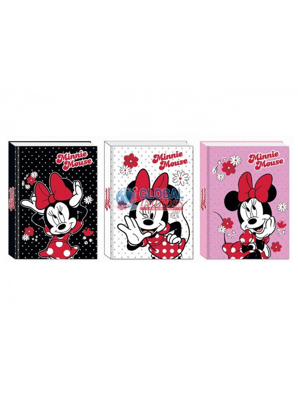 DIARIO MINNIE