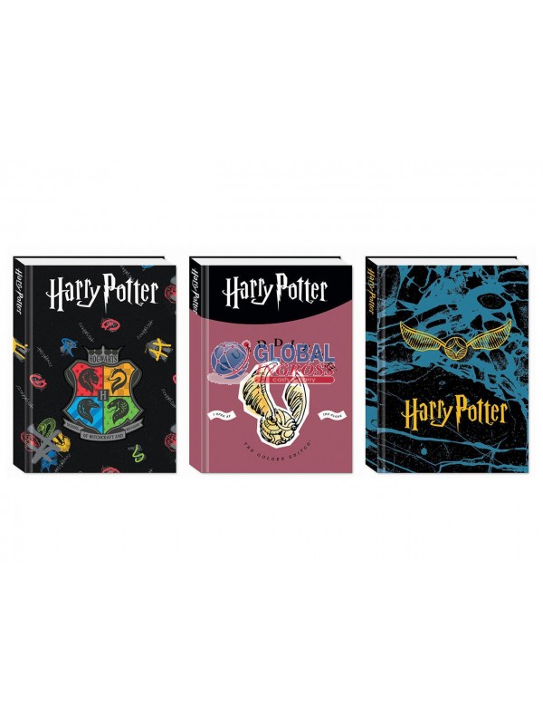 DIARIO HARRY POTTER