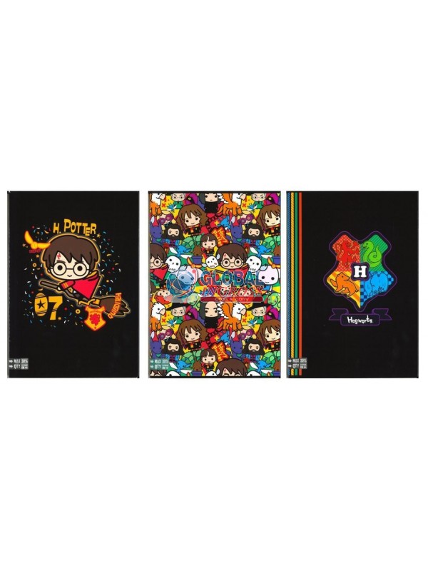 MAXI HARRY POTTER 1 RIGO