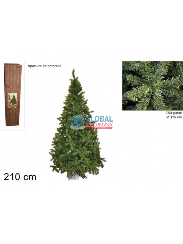 PINO IMPERATORE 210cm.